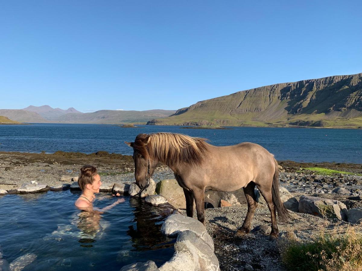 Hvammsvik Nature Resort Kjosahreppur Eksteriør billede