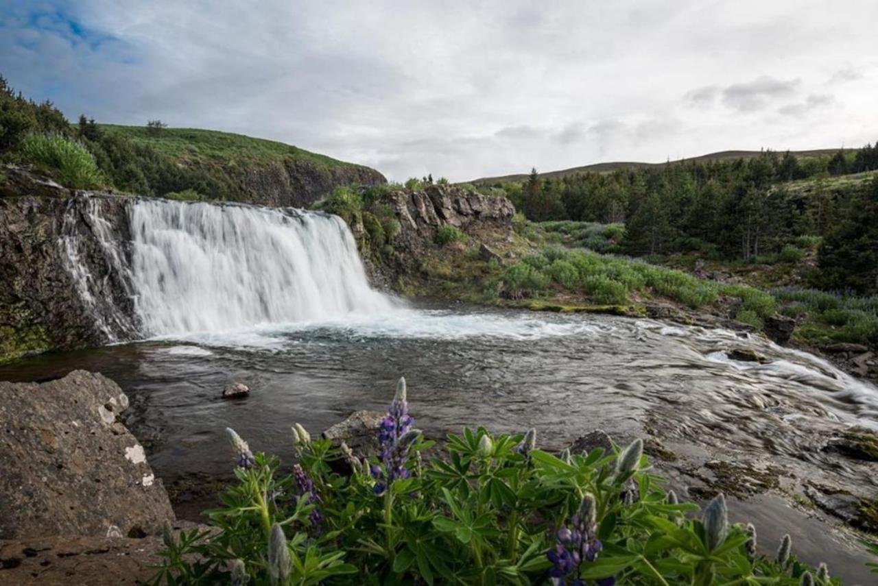 Hvammsvik Nature Resort Kjosahreppur Eksteriør billede